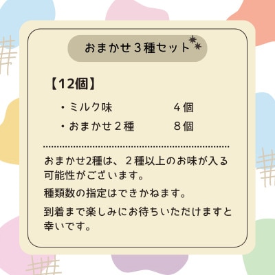 牛乳屋さんが作ったアイスクリームスイーツ　モア松屋のおまかせ3種 アイスもなか食べ比べ | 12個入