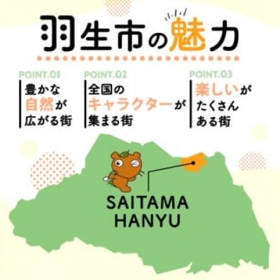 訳あり ロールケーキ セット おまかせ 1kg