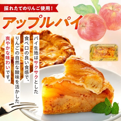 訳あり パイケーキセット 2kg