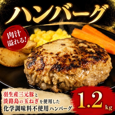 羽生産三元豚の合挽ハンバーグ1.2kg
