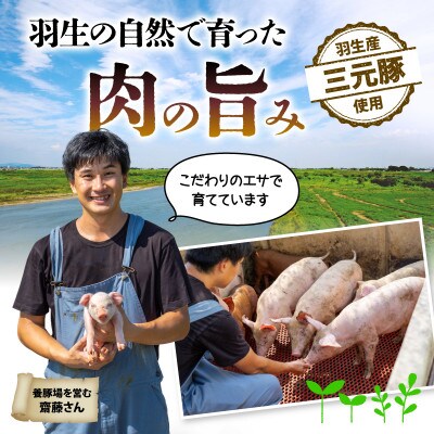 羽生産三元豚の合挽ハンバーグ1.2kg