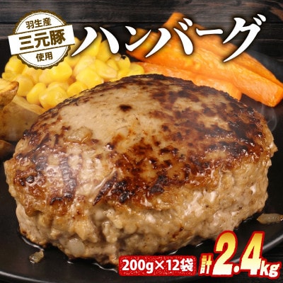 羽生産三元豚の合挽ハンバーグ2.4kg