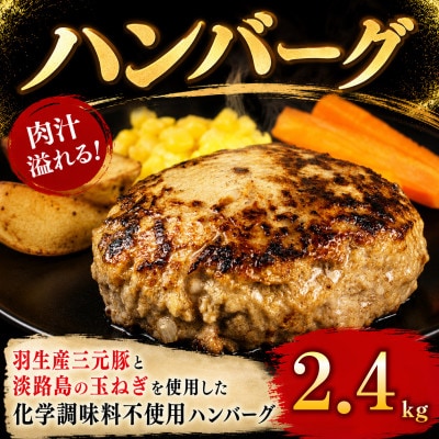羽生産三元豚の合挽ハンバーグ2.4kg