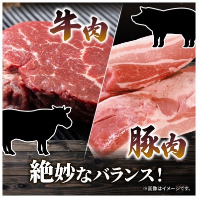 羽生産三元豚の合挽ハンバーグ2.4kg