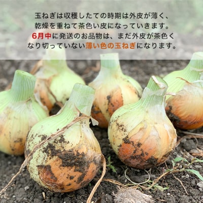 【あさひサンファーム】【10kg】兵庫県認証食品★特別栽培★淡路島たまねぎ