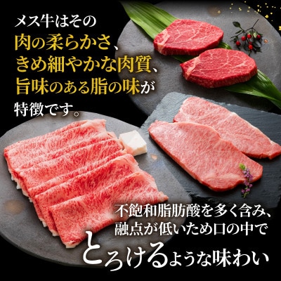近江牛A5と国産豚肉の手ごねハンバーグ10個入