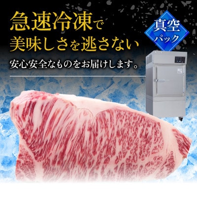 近江牛A5と国産豚肉の手ごねハンバーグ10個入
