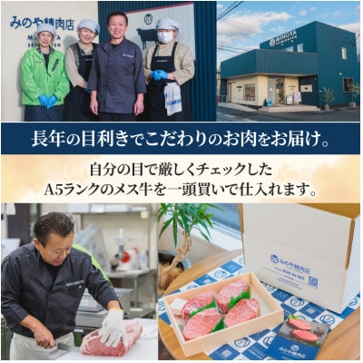 近江牛A5ランク　メス牛一頭買いサーロインステーキ　2枚