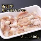 特選近江牛ホルモン(塩だれタレ漬け)200g×3(計600g) 近江牛A5ランクメス牛一頭買い