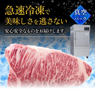 近江牛焼肉とホルモン 旨味タレ付けミックスセット2〜3人分(BBQセット)計700g