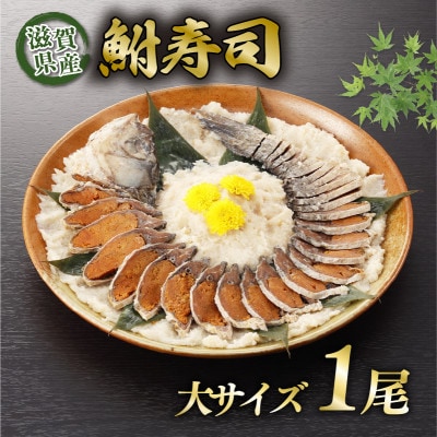 【あゆの店きむら】 びわ湖産天然 鮒寿し 大サイズ