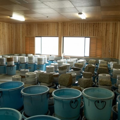 【あゆの店きむら】 びわ湖産天然 鮒寿し 小サイズ