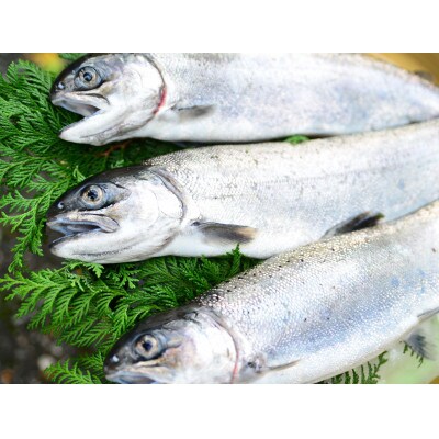 【あゆの店きむら】 びわ湖産天然 びわますスモーク (70g×4)