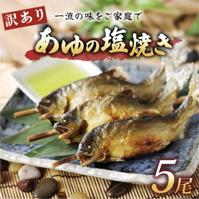 訳あり あゆの塩焼き5尾 簡単調理で食べられる身が締まった国産のブランド鮎
