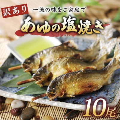 訳あり あゆの塩焼き 10尾 簡単調理で食べられる身が締まった国産のブランド鮎
