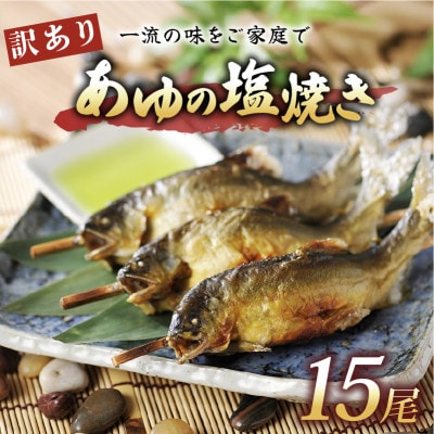 訳あり あゆの塩焼き15尾 簡単調理で食べられる身が締まった国産のブランド鮎