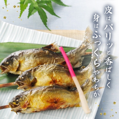 訳あり 子持ちあゆの塩焼き10尾 簡単調理で食べられる身が締まった国産のブランド鮎