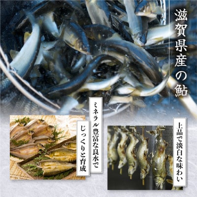 訳あり 子持ちあゆの塩焼き10尾 簡単調理で食べられる身が締まった国産のブランド鮎