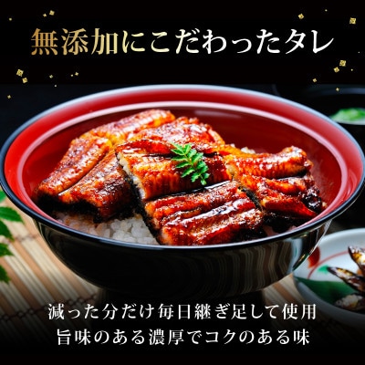 ひつまぶしセット 3人前 国産うなぎを炭火とコクのあるタレでじっくり焼き上げ