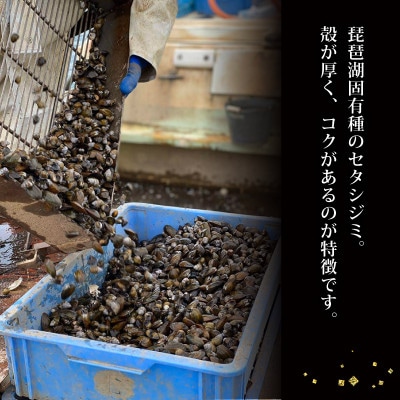 【あゆの店きむら】 びわ湖産天然 しじみ味噌汁 簡単調理10食入