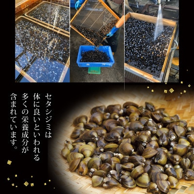 【あゆの店きむら】 びわ湖産天然 しじみ味噌汁 簡単調理10食入