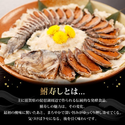 他の魚にはない味わい!滋賀県の郷土料理 鮒寿しをお試しサイズで手軽に! 5～6切れ入