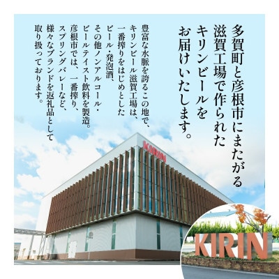 スプリングバレー ジャパンエール <香>[500ml ×24本] 【キリンビール】 クラフトビール