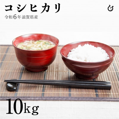 令和6年 コシヒカリ 環境こだわり米 10kg(5kg×2袋) 彦根産
