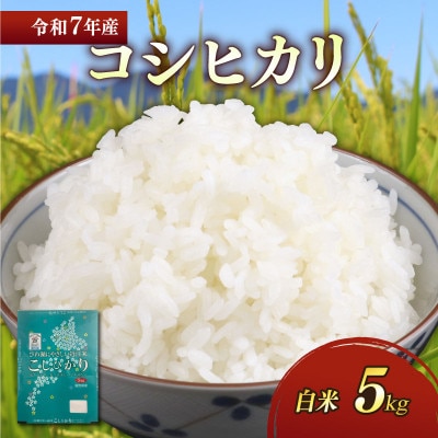 令和7年産新米コシヒカリ白米5kg 粘り、甘み、香りの絶妙なバランス