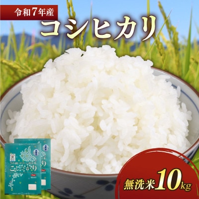 令和7年産新米コシヒカリ白米無洗米10kg(5kg×2袋) 粘り、甘み、香りの絶妙なバランス