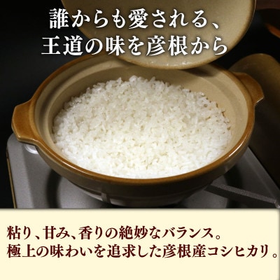 令和7年産新米コシヒカリ白米無洗米10kg(5kg×2袋) 粘り、甘み、香りの絶妙なバランス