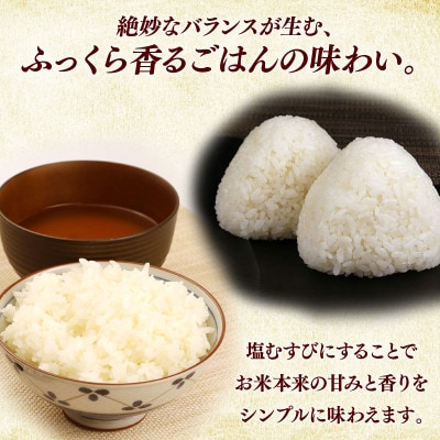 令和7年産新米コシヒカリ白米無洗米10kg(5kg×2袋) 粘り、甘み、香りの絶妙なバランス