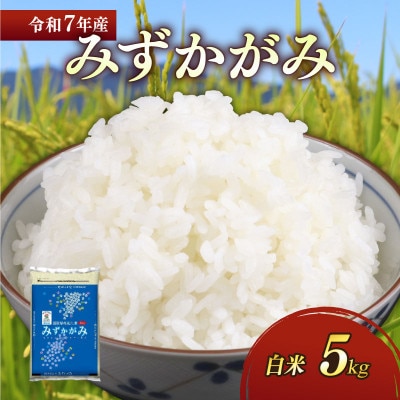 令和7年産新米みずかがみ白米5kg 和食の旨味を引き立てるさっぱりとした味わい