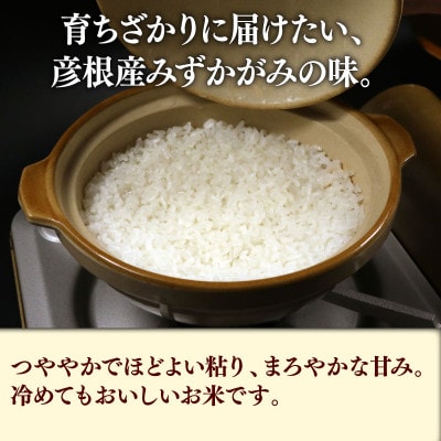 令和7年産新米みずかがみ白米5kg 和食の旨味を引き立てるさっぱりとした味わい
