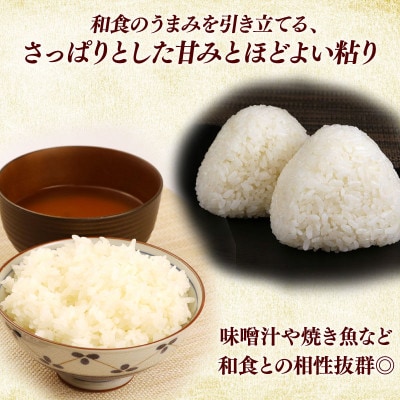 令和7年産新米みずかがみ白米5kg 和食の旨味を引き立てるさっぱりとした味わい