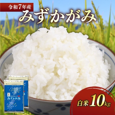 令和7年産新米みずかがみ白米10kg(5kg×2袋)  和食の旨味を引き立てるさっぱりとした味わい