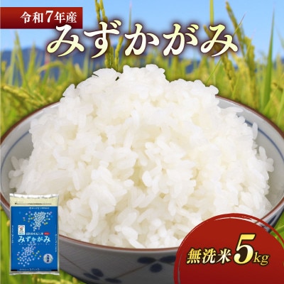 令和7年産新米みずかがみ白米無洗米5kg 和食の旨味を引き立てるさっぱりとした味わい