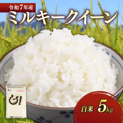 令和7年産新米ミルキークイーン白米5kg 甘みと強い粘りが特徴