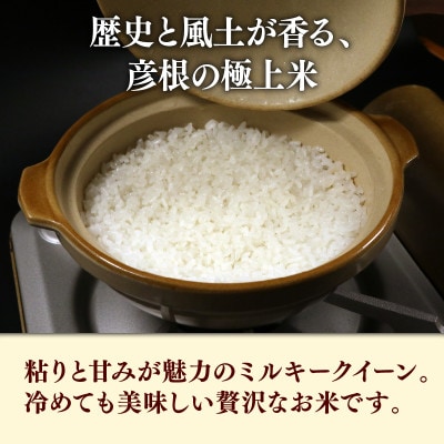 令和7年産新米ミルキークイーン白米無洗米5kg 甘みと強い粘りが特徴