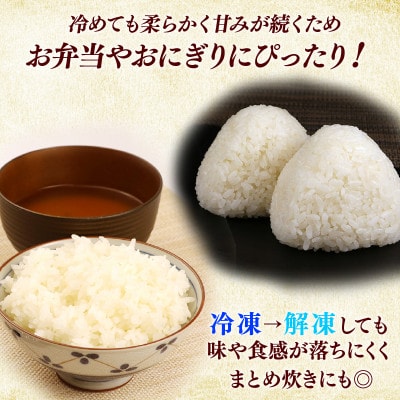 令和7年産新米ミルキークイーン白米無洗米5kg 甘みと強い粘りが特徴