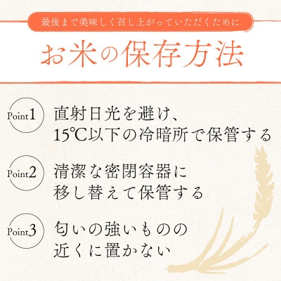 令和7年産新米ミルキークイーン白米無洗米5kg 甘みと強い粘りが特徴