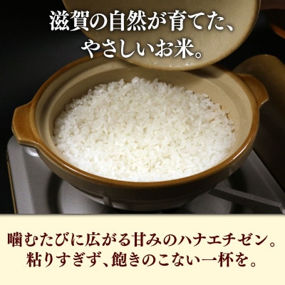 令和7年産新米ハナエチゼン白米無洗米5kg 噛むたびに広がる甘み