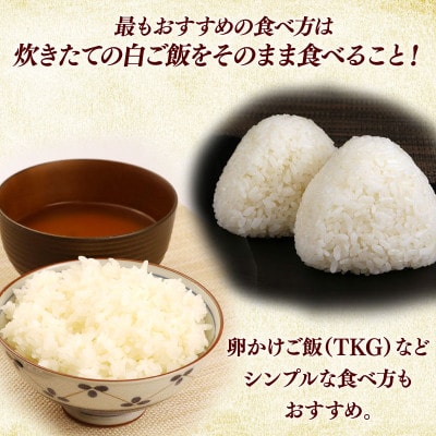 令和7年産新米ハナエチゼン白米無洗米5kg 噛むたびに広がる甘み