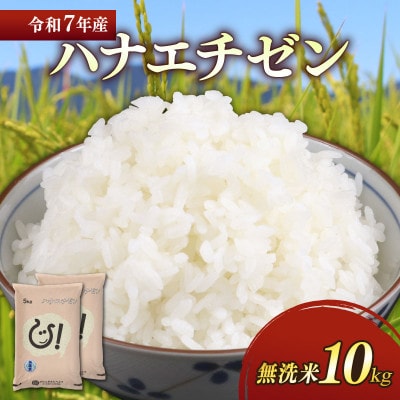 令和7年産新米ハナエチゼン白米無洗米10kg(5kg×2袋) 噛むたびに広がる甘み