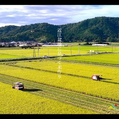 有機JAS認証 アイガモ君が育てたお米ミルキークイーン白米5kg