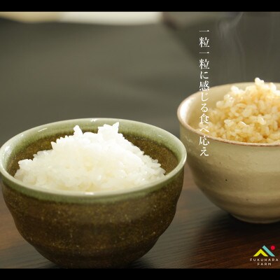 有機JAS認証 アイガモ君が育てたお米コシヒカリ 白米2kg×2袋