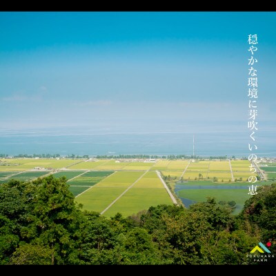 有機JAS認証 アイガモ君が育てたお米コシヒカリ 白米2kg×2袋