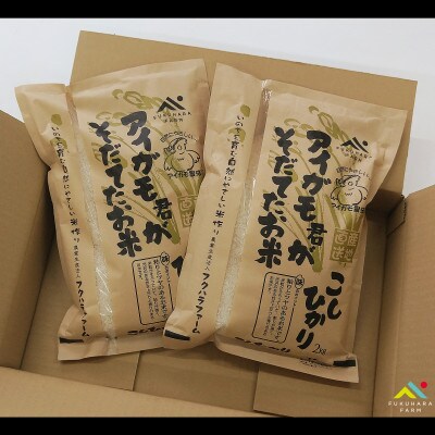 有機JAS認証 アイガモ君が育てたお米コシヒカリ 白米2kg×2袋