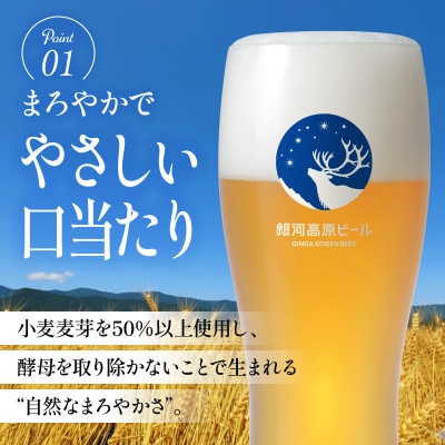【毎月定期便】銀河高原ビール 350ml × 48缶全12回