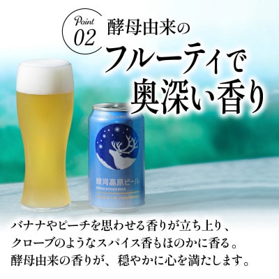 【毎月定期便】銀河高原ビール 350ml × 48缶全3回